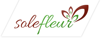 Logo Solefleur Blumenladen Bad Salzungen